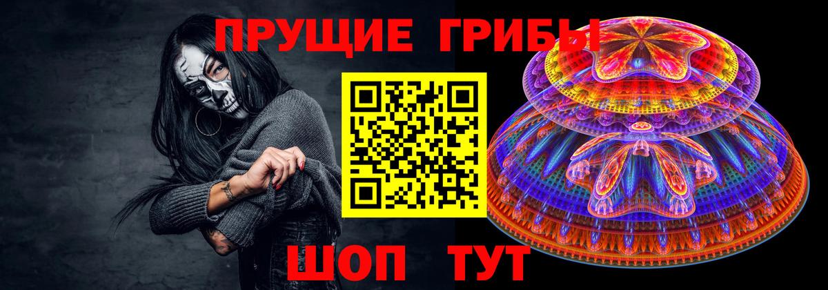 Псилоцибиновые грибы Psilocybe Новочебоксарск